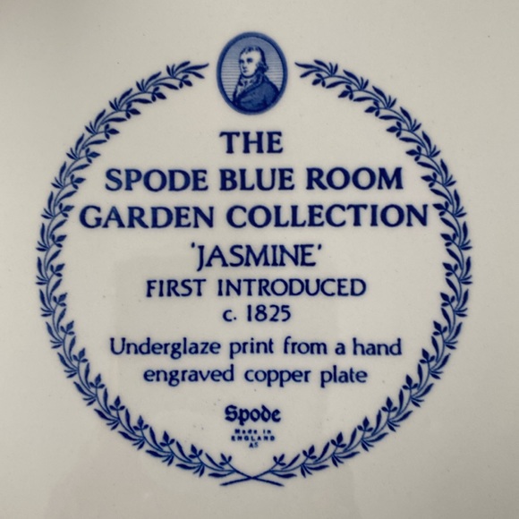 Spode Blue Room Garden Collection Plate "JASMINE " - Picture 5 of 5